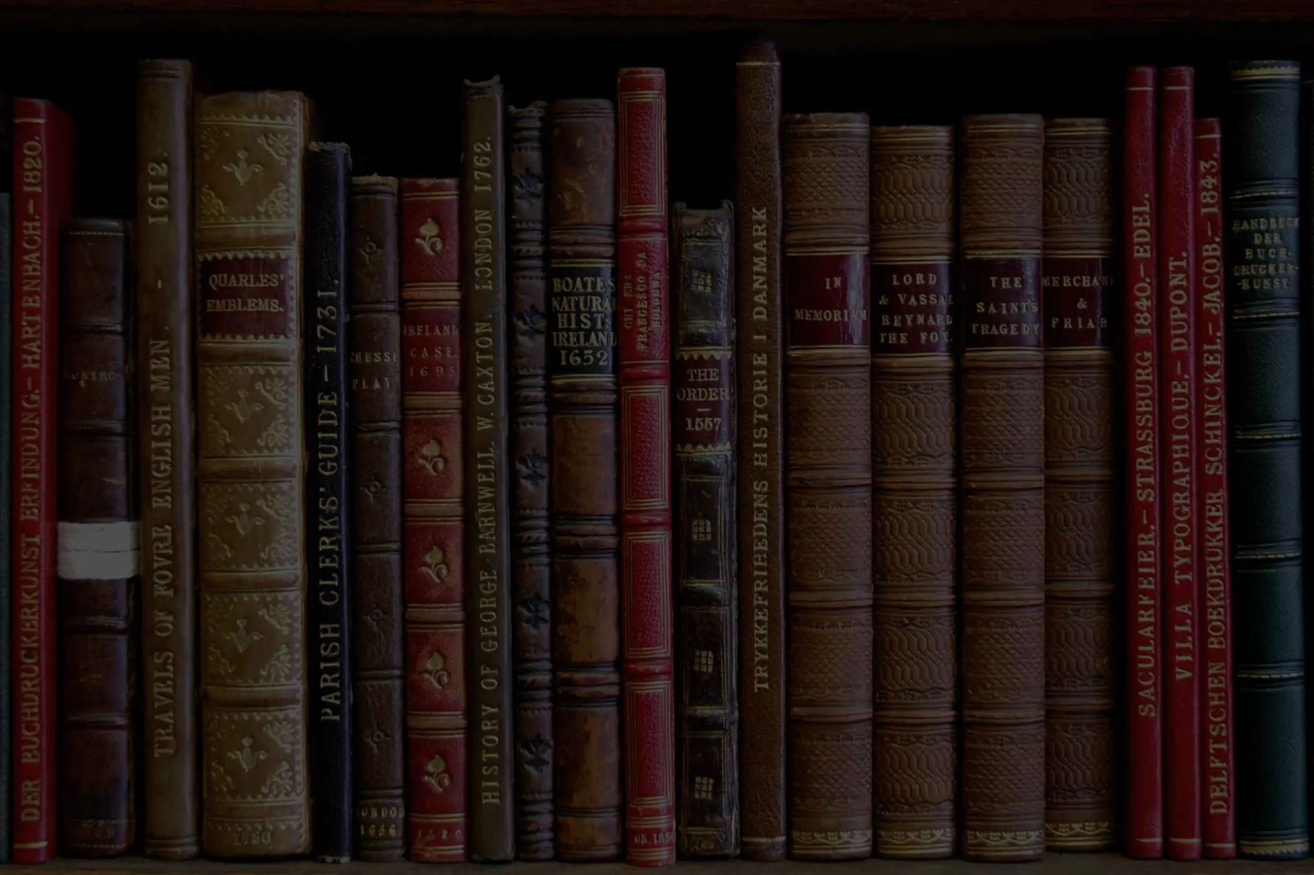 Header Background Image